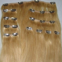 100% virgins human hair 10 pcs per kit